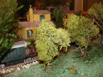 vegetazione